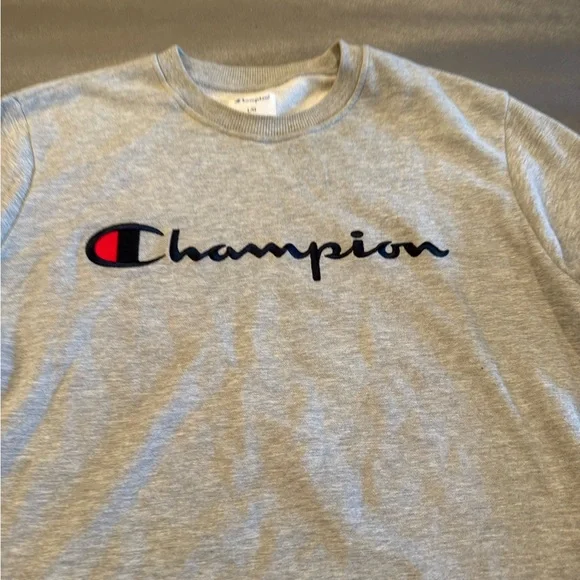 Champion Men's Gray Sweater. Size L - Picture 2 of 5